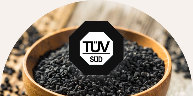 TÜV Süd